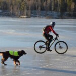 Sognsvann 2, 15. januar, 2017, Slade