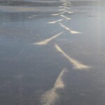 Sognsvann 7, 15. januar, 2017, Slade