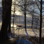 Sognsvann 8, 13. januar, 2017, Slade